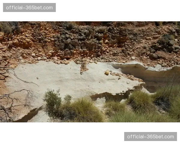 澳大利亚国家公园内非法修建山地车径，多名涉事者被起诉